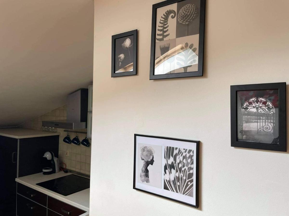 Apartament Studio Naleczow Luaran gambar